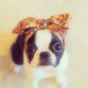 Meet your Posher, Elizabeth